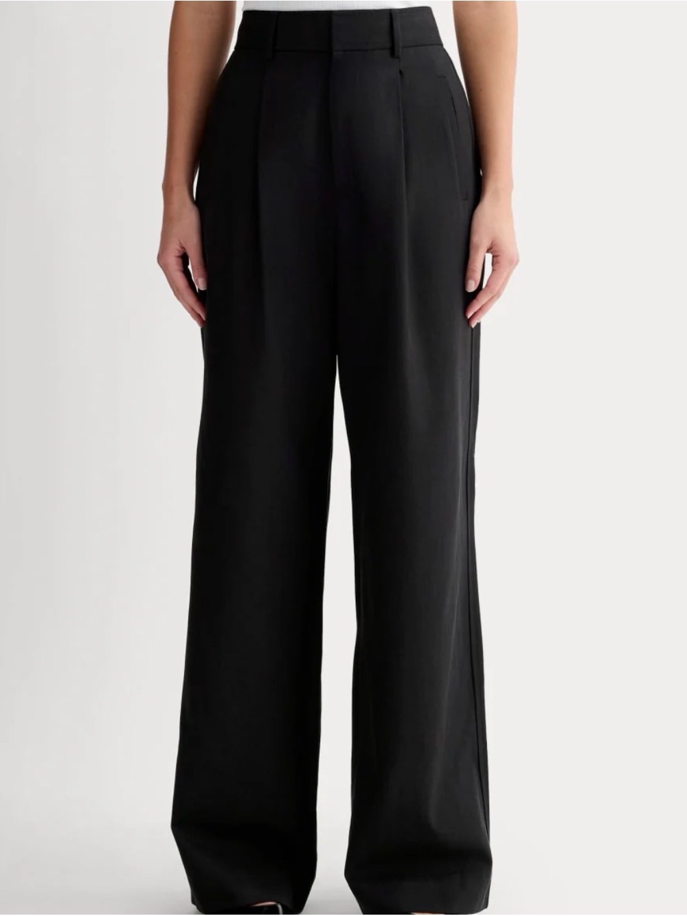 Everlane The Draper Pleated Pant in Buttersmooth